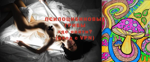 а пвп мука Каменка