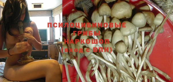 гашиш Каменногорск