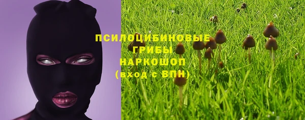 а пвп мука Каменка